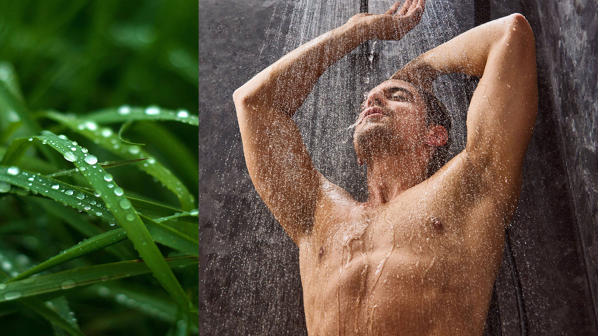 Herbe couverte de gouttes et personne sous la douche.